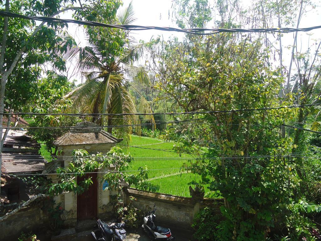 Pondok Taman Asri Homestay Ubud Eksteriør bilde